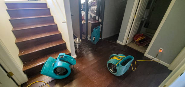 Best 24-hour water damage restoration  in Versailles, MO