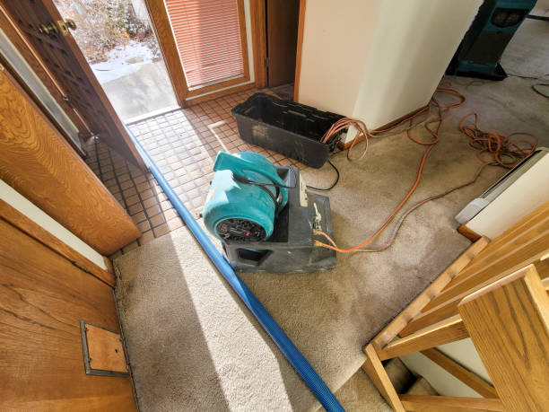 Best Sewage cleanup and water damage restoration  in Versailles, MO
