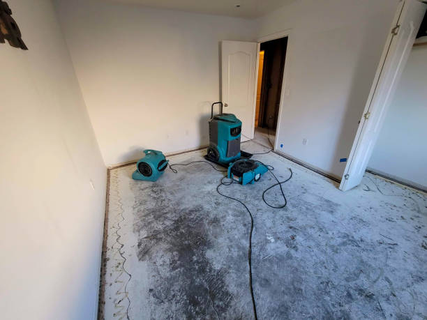 Best Residential water damage restoration  in Versailles, MO