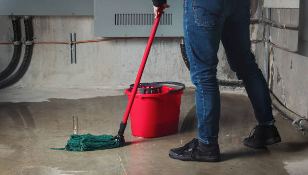 Best Professional water damage repair  in Versailles, MO
