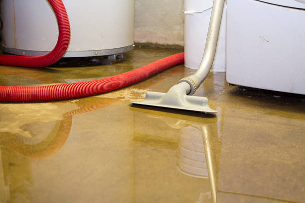 Best Basement water damage restoration  in Versailles, MO