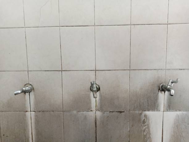 Best Water damage cleanup near me  in Versailles, MO