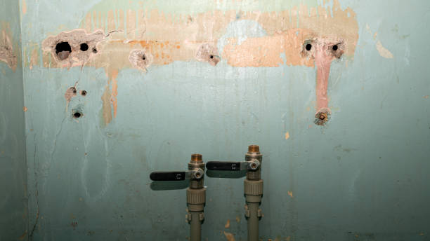 Best Water damage restoration cost  in Versailles, MO