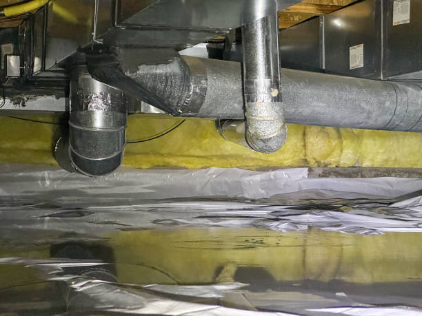 Best Emergency water extraction  in Versailles, MO