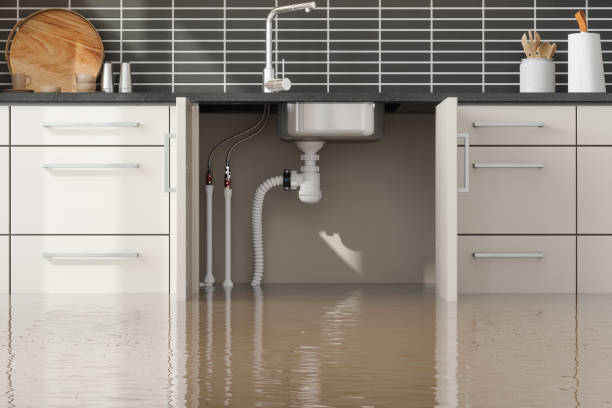 Best Water damage restoration near me  in Versailles, MO