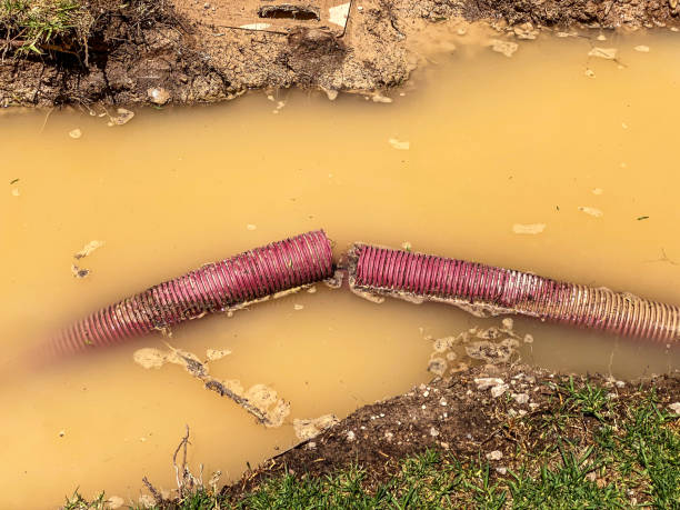 Best Water damage cleanup near me  in Versailles, MO