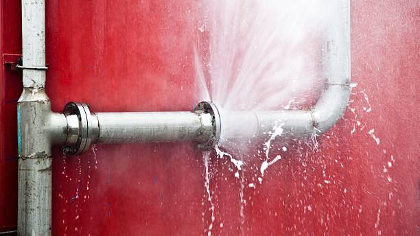 Best Carpet water damage restoration  in Versailles, MO