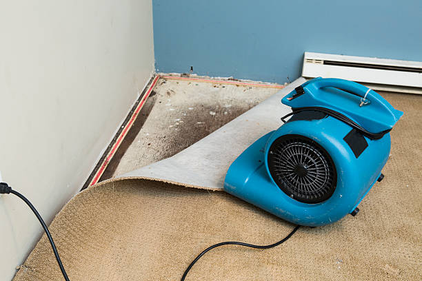 Best Local water damage restoration  in Versailles, MO